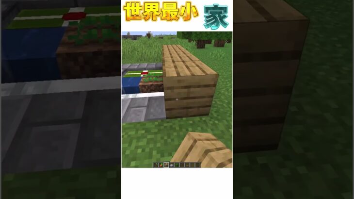 [マイクラ]海外の最小の家がやばすぎる!?