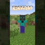 こんなクリーパーは嫌だ(マジで)【マイクラ】