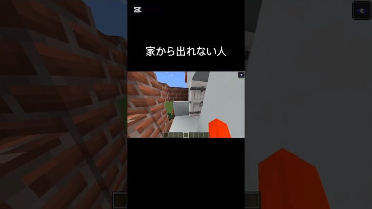 家から出れない人 #マインクラフト