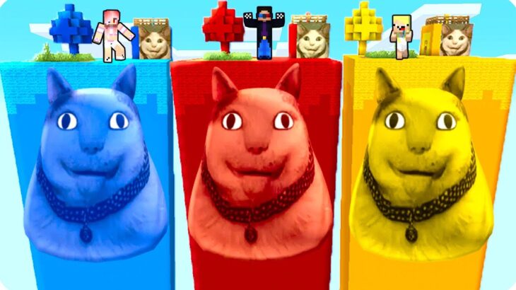 🙀ЧАНКИ БУ ИСПУГАЛСЯ НЕ БОЙСЯ vs ШЕДИ ЛЕСКИ И НУБИКА В МАЙНКРАФТ! MINECRAFT