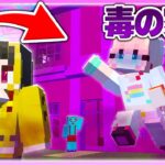 🌈女の子の家を「毒の家」にするwww 【マイクラ / まいくら / マインクラフト】