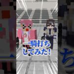 初心者とプロで一騎打ちしてみたwwww【STPR BOYS】【マイクラ】