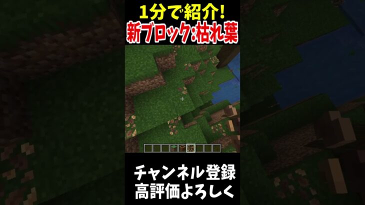 最新マイクラの新ブロックを1分で紹介!!!!#マインクラフト #Minecraft #アップデート #裏技 #minecraftparkour #shorts