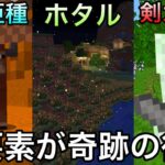 【マイクラ】削除された没要素が新たな形で続々復活..!?　～1.21.5で実装される最新アプデ要素・新コマンドを一気に紹介・解説～【マインクラフト】【まいくら】【検証】【25w05a】