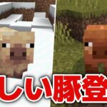 【マイクラ統合版アップデート情報】ロードストーン革命！？新しい豚登場！【プレビュー版1.21.60.25】