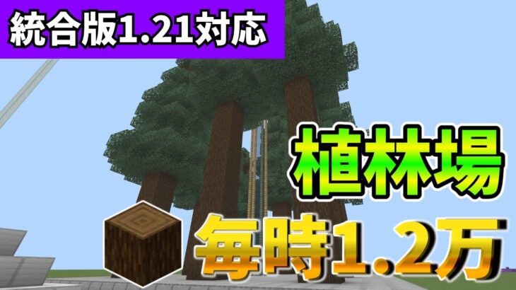 【マイクラ統合版】1時間で1.2万個の原木が手に入る植林場の作り方【PE/PS4/Switch/Xbox/Win10】