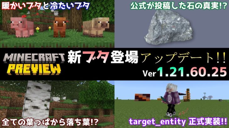 【統合版マイクラ】新モブ・暖かいブタと冷たいブタの亜種が2匹登場!? 今後のアップデート情報 Beta&Preview版 ver1.21.60.25【PE/Xbox/Win10/PS 対応】