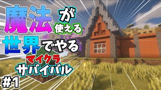 【24世紀】魔法が使える世界でやるマイクラサバイバルPart1