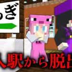 【マイクラ】誰もいない無人駅に閉じ込められた…恐怖の無人駅から脱出しろ！【AMPTAKxCOLORS】【アンプタック】