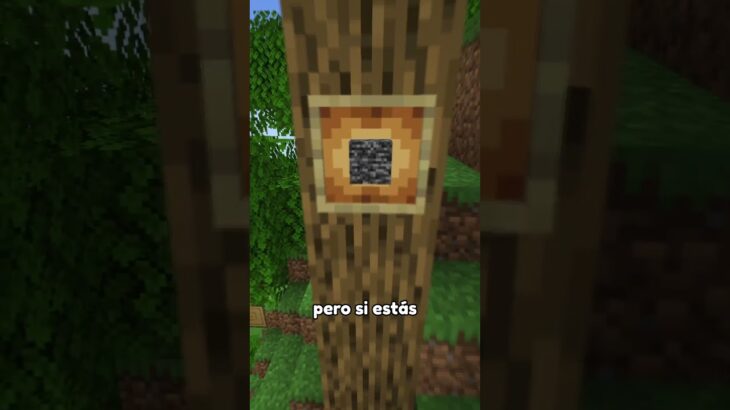 El bloque más roto de Minecraft Bedrock! 🤨