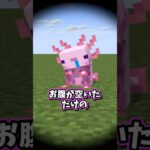 あのMOBかわいい♪ #マイクラアニメ #マインクラフト