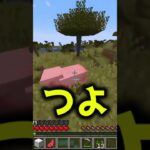 死神と契約した代償 MOD紹介#ゆっくり実況 #マインクラフト #マイクラ