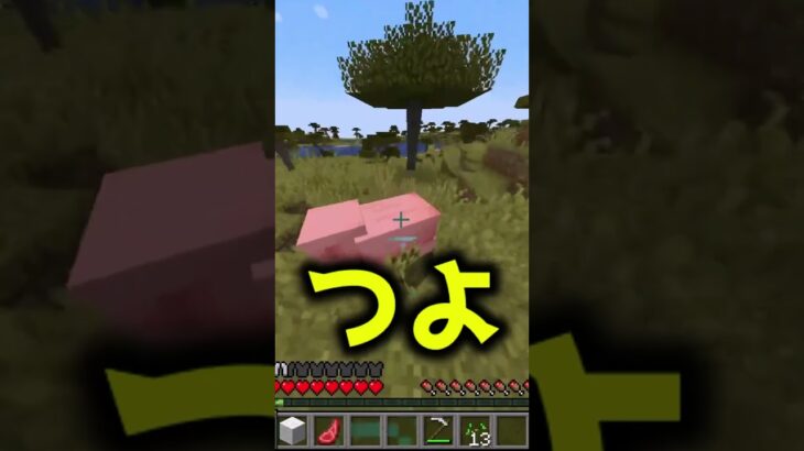 死神と契約した代償 MOD紹介#ゆっくり実況 #マインクラフト #マイクラ