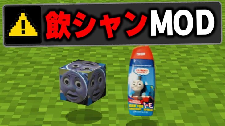 マイクラに存在する”意味不明なMOD”を実際にプレイしてみたら意味がわからなすぎたｗｗｗ【まいくら・マインクラフト】