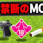 マイクラの絶対にプレイしてはいけない”禁断のMOD”を実際にプレイしてみたらヤバすぎたｗｗｗ【まいくら・マインクラフト】【総集編】
