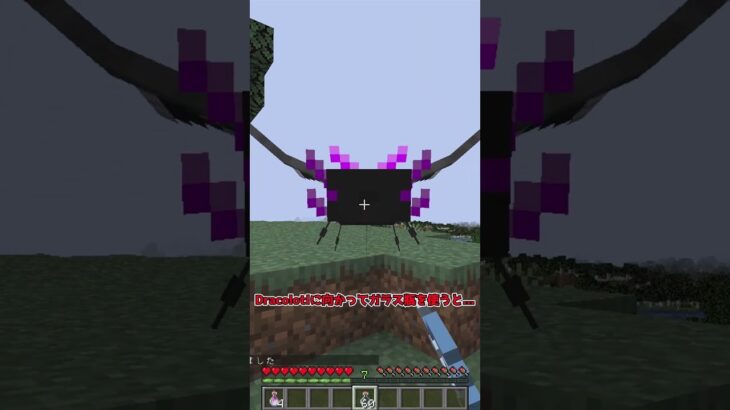 【MOD紹介】あの役に立たないドラゴンの卵から、ついに子供が！？【マイクラ】【ゆっくり実況】#shorts