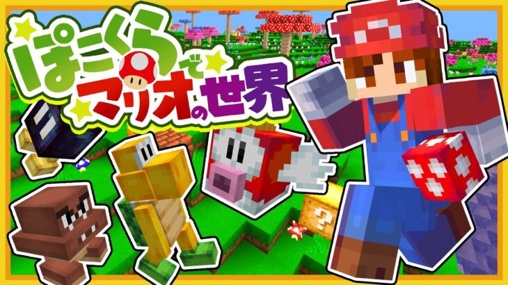 【ぽこくら】マリオのオタクが作ったマイクラ版マリオのクオリティがとにかく凄過ぎた‼️┃Minecraft / マインクラフト