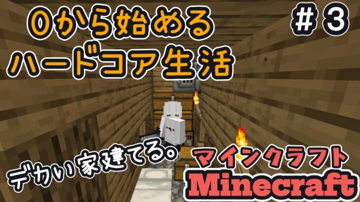 そろそろ家欲しくね？【Minecraft/マイクラ】