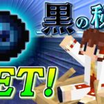 【Minecraft】【ぬすっとクラフト #2】超鬼畜縛りを２日目にして攻略しちゃいました！【マイクラ】【ゆっくり実況】