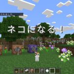 【Minecraft統合版】ネコになれる⁉魔法のコマンドで楽しく変身！🐾