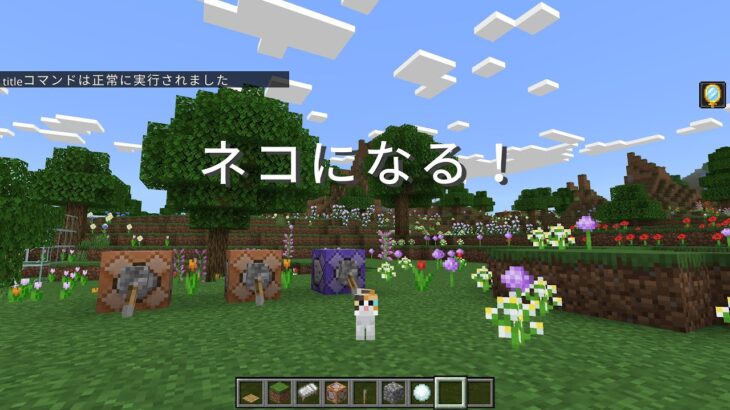 【Minecraft統合版】ネコになれる⁉魔法のコマンドで楽しく変身！🐾