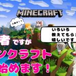 【Minecraft 初心者】エンチャントできるようになって楽しさ倍増してる！【マインクラフト】＃8