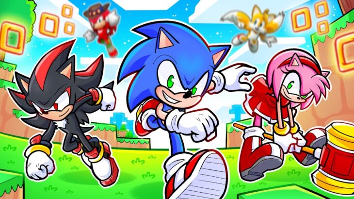 ¡Minecraft PERO es SONIC 3! 🔴🔵🟡 SILVIOGAMER MINECRAFT PERO