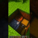 Minecraft Smallest House🏠 #minecraft #shorts