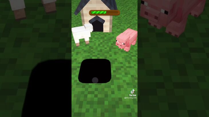 Minecraft hole🕳️(オトノケ)#shorts #minecraft