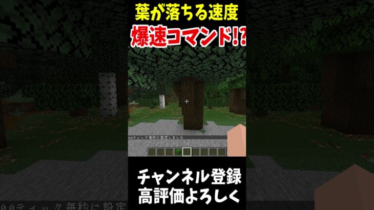 葉っぱが落ちる速度を速めたらどうなる!?!!#マインクラフト #Minecraft #アップデート #裏技 #minecraftparkour #shorts