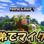 【Minecraft】お正月スペシャル　MODスカイブロック生活始めました！兄弟の絆