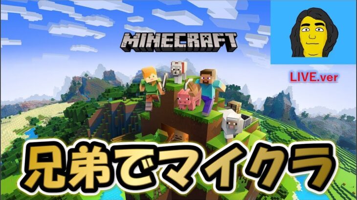 【Minecraft】お正月スペシャル　MODスカイブロック生活始めました！兄弟の絆