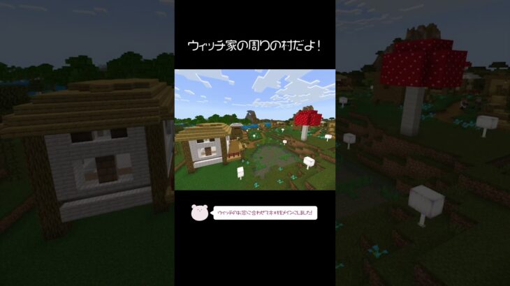 ウィッチの家の周りに村を建築したよ！【Minecraft】【#Shorts】 #マイクラ #マインクラフト #minecraft