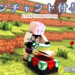 【Minecraft】エンチャント台を回そう【新人VTuber/玉章りつと】