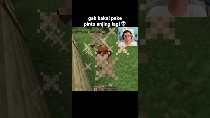 Momen Pintu Anjing Minecraft