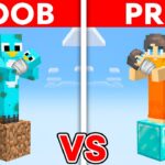 NOOB vs PRO: SKYBLOCK FAMILY Challenge in Minecraft