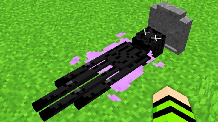O que ACONTECE QUANDO os MOBS MORREM?