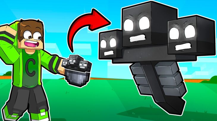 Posso BEBER MOBS no Minecraft
