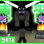 【マイクラ】自己ベスト更新を目指して練習：エンドラRTA【まぐにぃ】