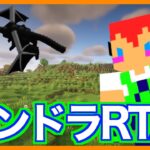 【マイクラ】エンドラRTA：記録41分