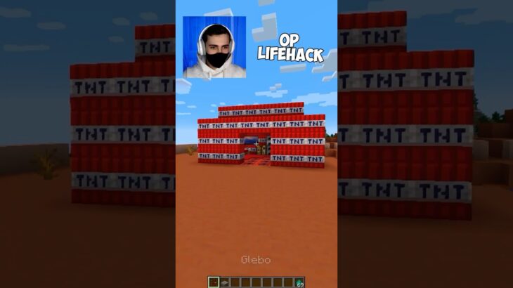 SIGMA LIFEHACK😎 267% #minecraft