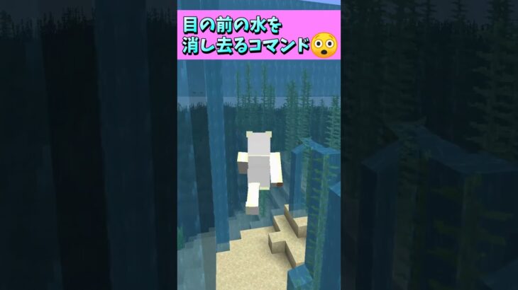 海の底を探検する時に便利な裏技！目の前の水を消し去るコマンド😲 #Shorts #マイクラ #マインクラフト #コマンド