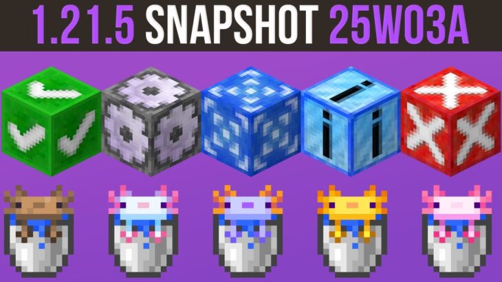 Snapshot 25W03A | Testing Blocks, Component Driven Textures & More | Minecraft 1.21.5