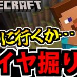 【Switch版】ネザー攻略とダイヤ担当のマインクラフト生放送【初見】#16