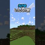 〇〇した人のTNT【マインクラフト】#マイクラ #shorts