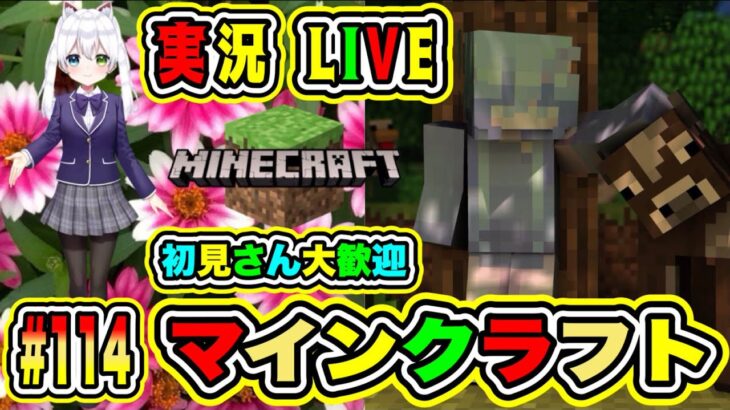 【マイクラ🌍】開拓＆建築✨整地しながらサバイバル生活🛠️まったり作業配信🌟初見さん大歓迎💖【氷川つき/VTuber】#マイクラ #Minecraft  #114