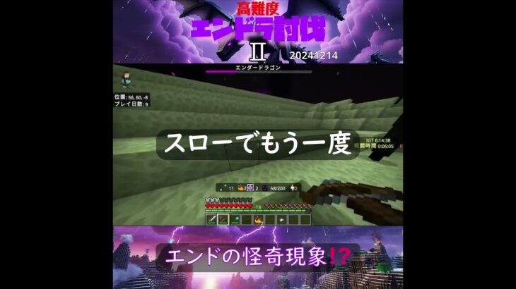 【マイクラ】エンドの怪奇現象！？　 from　高難度エンドラ討伐Ⅱ　2024/12/14　#Minecraft　#Shorts