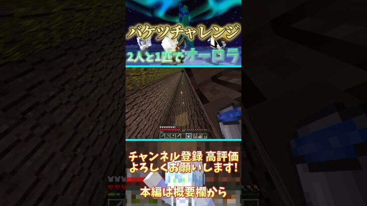 【マイクラ】バケツチャレンジ #マイクラ #マインクラフト #minecraft #黄昏の森