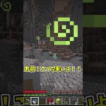 全てやらせ！#minecraft #ちゃびーパロディ#マイクラ