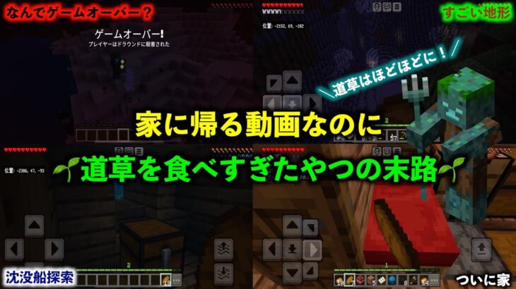 家に帰るだけなのに…＃１１【マイクラ】＃マイクラ　＃マインクラフト　#minecraft #エンダードラゴン　＃ポケットエディション　＃宝の地図